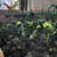 Photos des clients 2 de 3