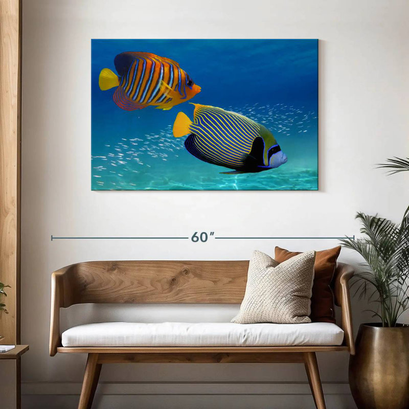 Brampt Exotic Emperor Angelfish, 30" H x 45" W