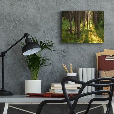 Millwood Pines 'Tree Sunset 1' by Joe Reimer Photography, Acrylic Glass Wall Art,