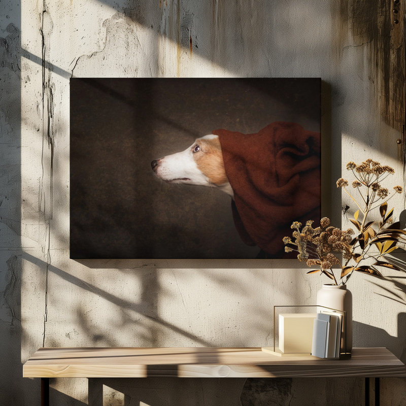 Wrapped Canvas Print, 50.8 cm H x 76.2 cm W