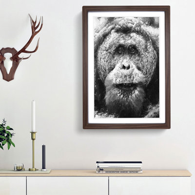 Orangutan - Picture Frame Graphic Art Print