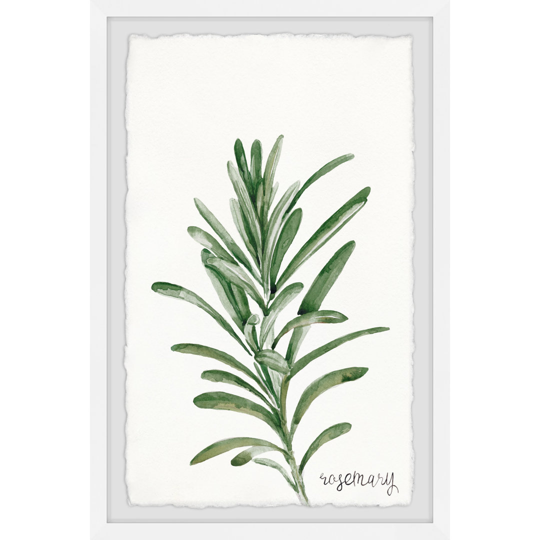 'Sage and Rosemary' - Picture Frame Painting Print on Paper