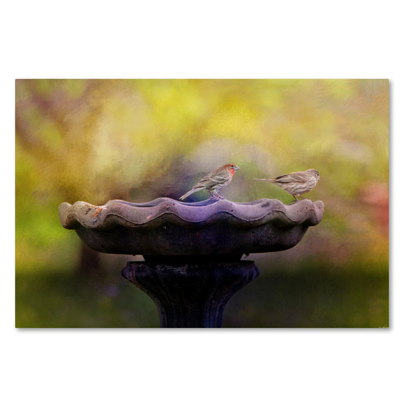 Finches on Stone Bird Bath Canvas Art, 20" x 25"
