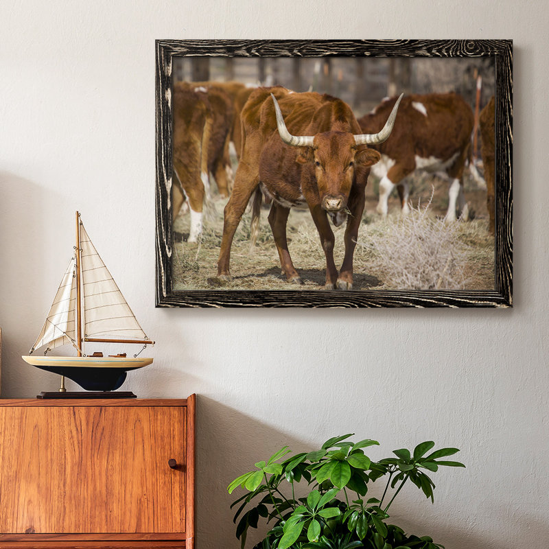 Longhorns, reproduction d'art sur toile encadrée, Noir, H 22 po x l 32 po x P 1,5 po
