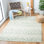 Moroccan Area Rug