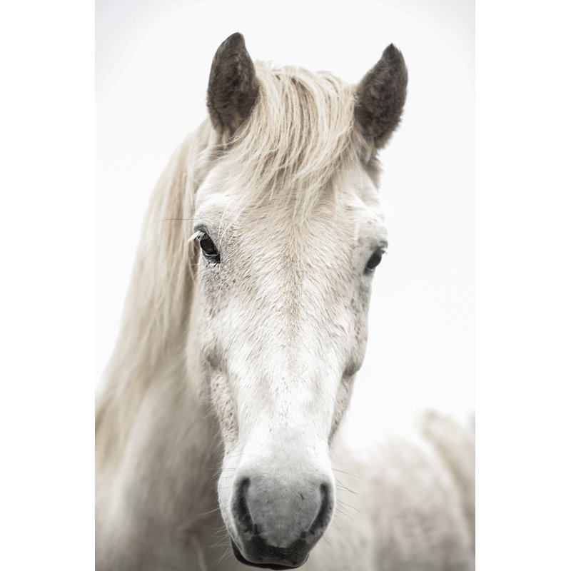Eye Of A Horse by Superjoseph - Wrapped Canvas Print, 91cm H x 61cm W