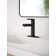Moen Meena Single Hole Bathroom Faucet with Drain Assembly
