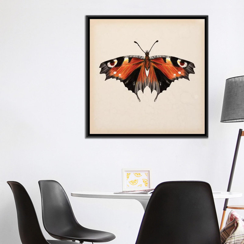 «Butterfly Study V», impression sur toile, H 18 po x l 18 po x P 1,5 po, Toile encadrée noire, Pas de tapis