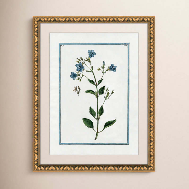 Colombe Shabby Elegance Botanical II - Art encadré, Cadre en perle d'or, L 18 po x H 24 po