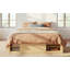 Structure de lit plateforme grand format avec 4 tiroirs de rangement et un casier de rangement au pied de lit, sans tête de lit, design moderne et peu encombrant - naturel-2146386861