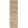 Oriental Indoor Rug
