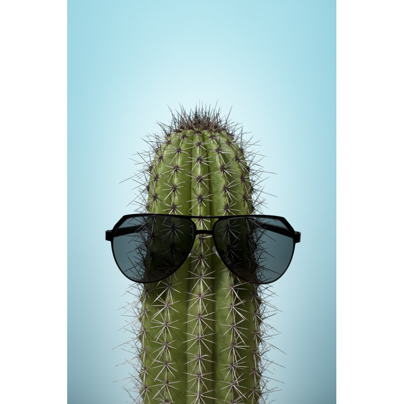 Cactus With Sunglasses On Blue - Wrapped Canvas Print, 91cm H x 61cm W x 3.8cm D
