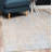 Rosamonde Oriental Indoor Rug-31821435