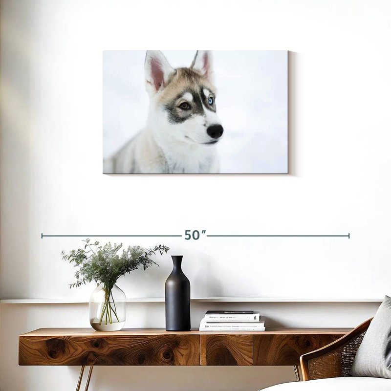 Brampt Glaring Husky, 20" H x 30" W