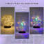Natural Solar Powered Glass Flood Light Pack-133619725