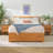 Mid Century Modern Solid Wood Queen Storage Bed With 2 Drawers-1491850536