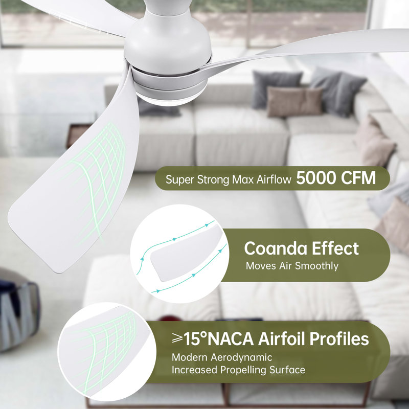 Sofucor 1 PC 52-Inch Fulsh Mount Ceiling Fan With Light,18W LED Dimmable Light With Memory Function,DC Motor,1/4/8H Timer Setting