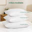 Soft Support Bed Pillow-676209819