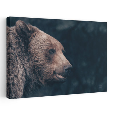 Contemporary Art Contemporary Bear Portrait Art 1 Piece Wrapped Canvas Wall Art
