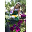 Aashma Self-watering Planters, Troughs, Flower Pots for Balcony Rails-1552871632-1552871639-1552871633