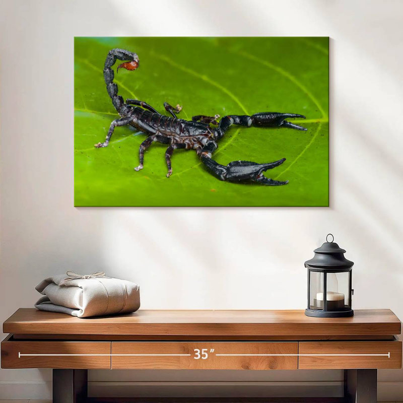 Crowle Forest Scorpion, 16" H x 24" W