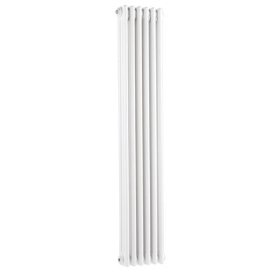 Colosseum Vertical Designer Radiator