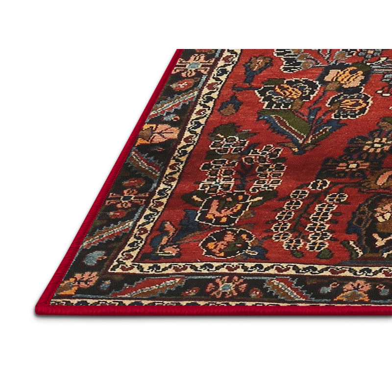 Oriental Indoor Rug, Rectangle 5' x 8'