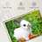 Bunny Eating Carrot-107921895