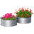 Set Of 2 Raised Garden Bed, Metal Planter Box With Safety Edging, Easy-To-Assemble Stock Tank 2'X2'x1' Silver-791300234-791300239