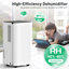 Dehumidifier