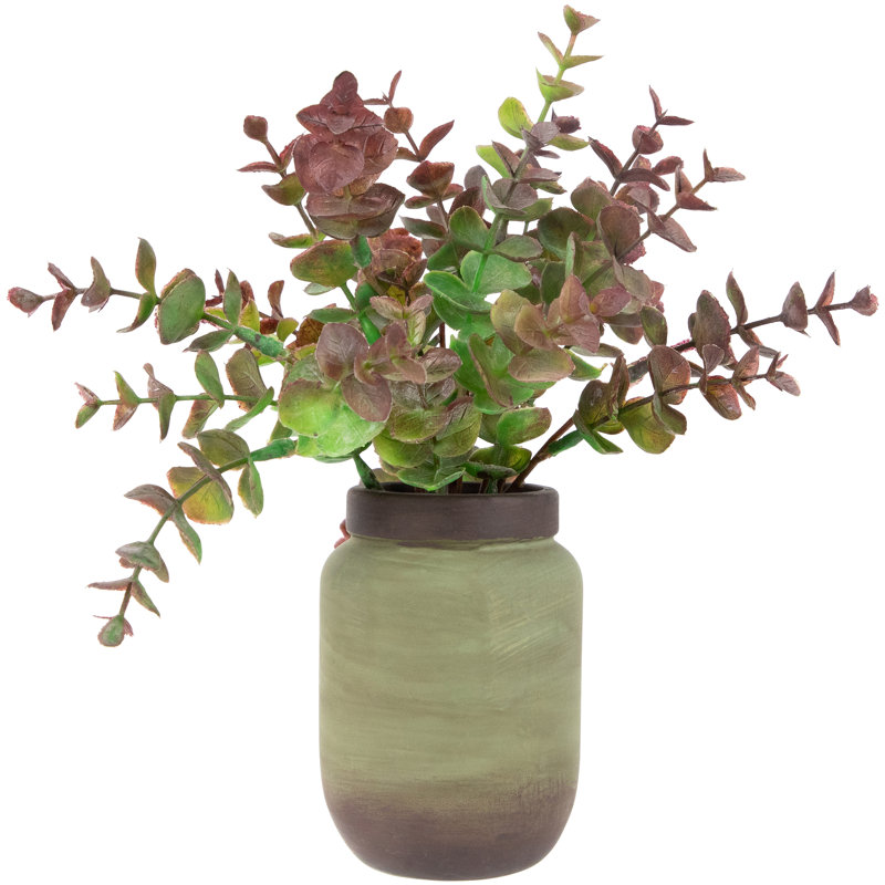 10 plantes