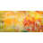 Venus by John Beard - Artist Enhanced Canvas Print-88182084-88482735