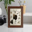 Western Animal Species I, reproduction encadrée sur papier-90582813-90582814