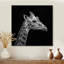 Girafe sur fond noir - reproduction d'art girafe-1449044576-1449044577