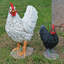 Edmonson Animals Weather Resistant Polyresin Garden Statue-953304056-953304063
