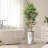 Artificial Tree in Black White Wood Tree Rings Pattern Planter Fake Bamboo Silk Tree-103684958