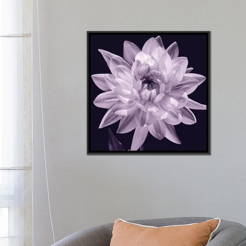 « white dahlia i », impression sur toile, H 12 po x l 12 po x p 0,75 po, Toile tendue, Pas de tapis