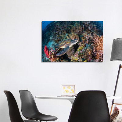 Coral Garden and Green Turtle 1 Piece Wrapped Canvas Wall Art
