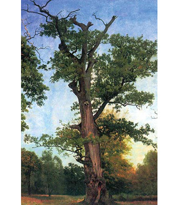 « pioneers of the forest » par albert bierstadt,, impression