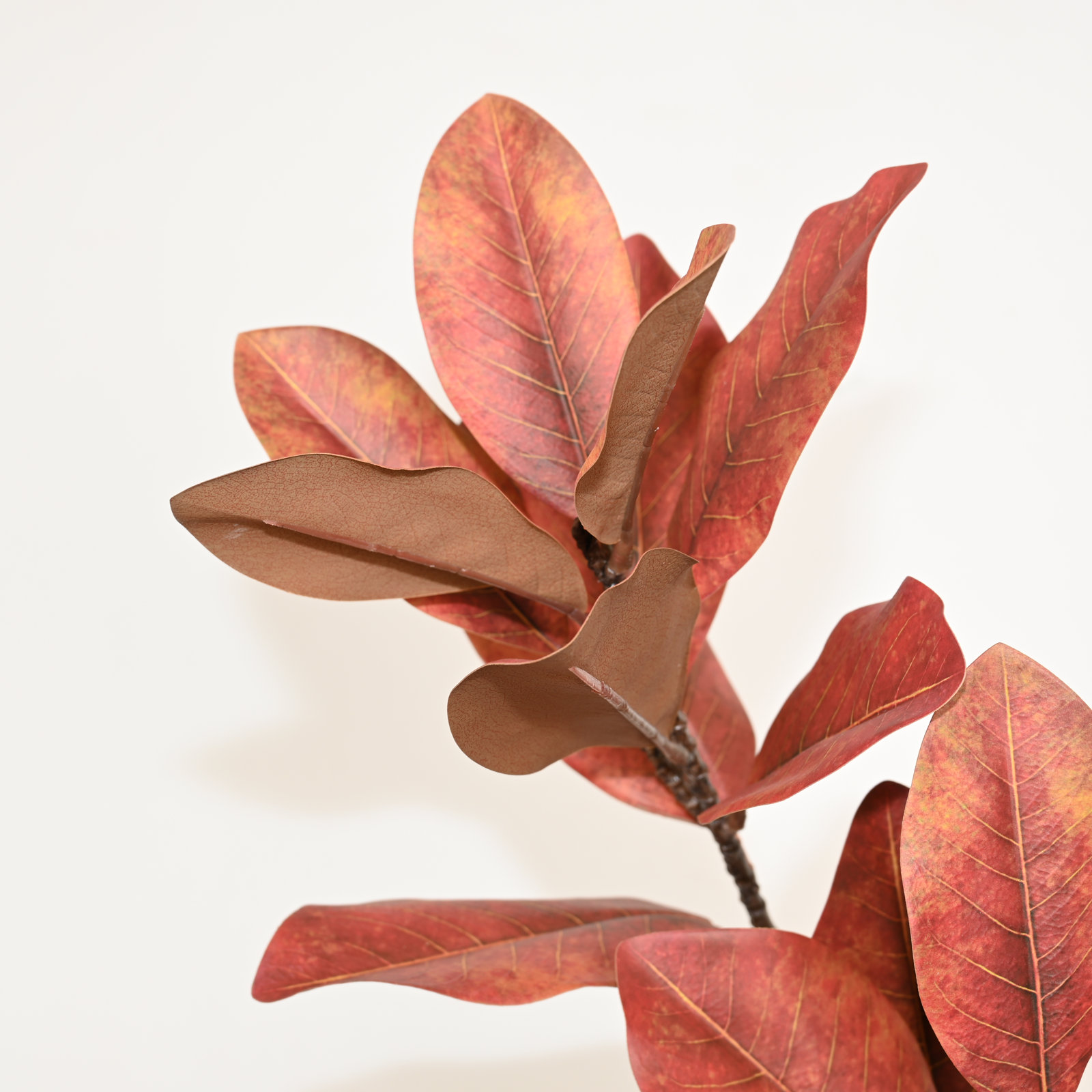 Magnolia Leaf Stems, Orange