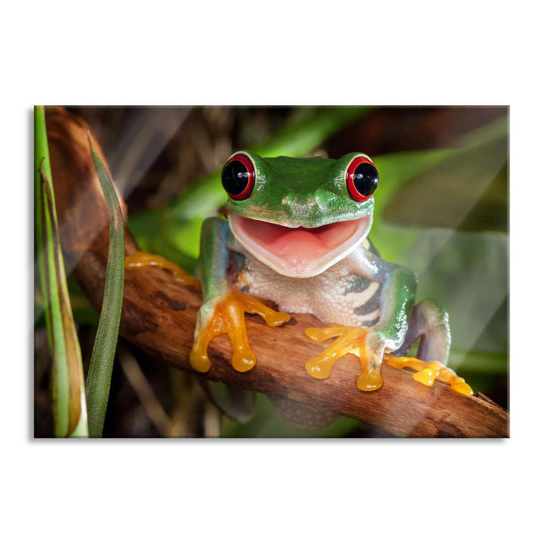 Glasbild Lachender Frosch mit Roten Augen auf Ast