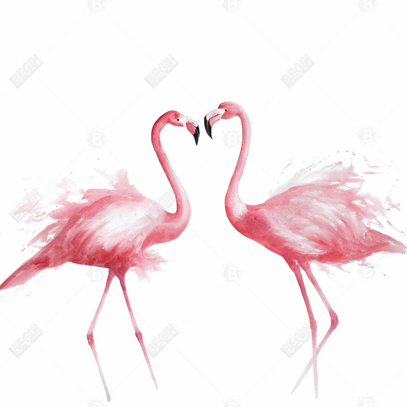 "Deux aquarelles de flamants roses"