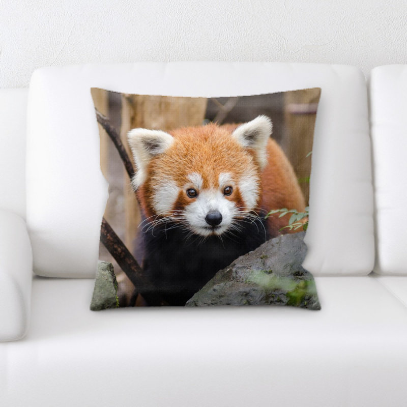 Housse de coussin carré et insert