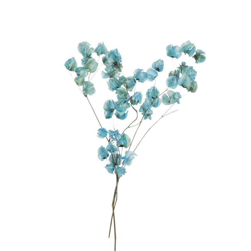 Preserved Cara Blossom Arrangement, Light Blue