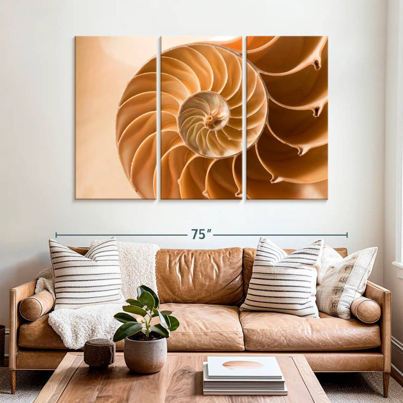 Coque Aletra Nautilus à l'intérieur, H 42 po x l 65 po