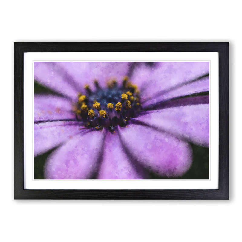 Pollen of a Purple Gerbera Flower - Picture Frame Painting Print, 24cm H x 33cm W x 2cm D, Black Framed