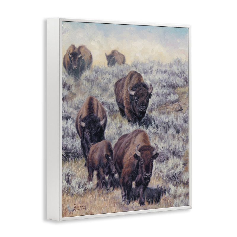 En quête de nouvelle herbe, estampe numérique par David Graham, Giclée encadrée blanc bord de mer, H 14 po x l 11 po