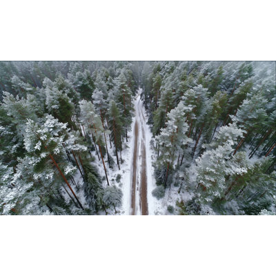 Art d'hiver sur toile tendue à travers la forêt