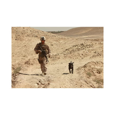 A Dog Handler Walks With An Explosives Detection Dog While On Patrol by Stocktrek Images - Wrapped Canvas Print