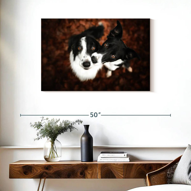 Brampt Adorable Border Collies, 24'' H x 36'' W